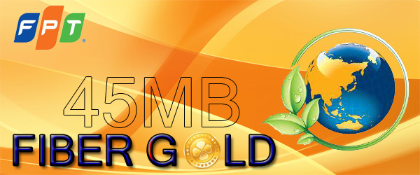 lap-mang-fpt-thai-binh-goi-fiber-gold