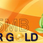 lap-mang-fpt-thai-binh-goi-fiber-gold