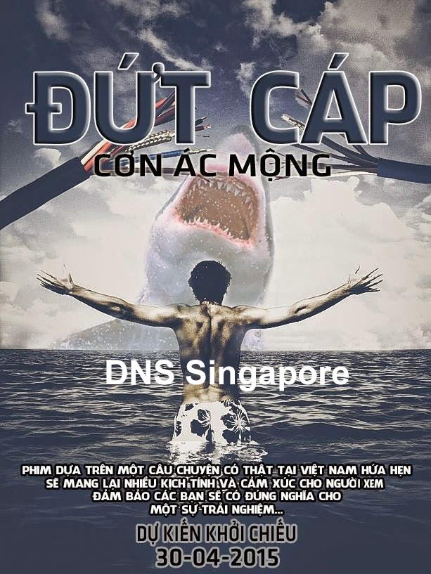 dns-singapore (2)
