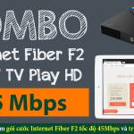 Gói cước COMBO Fiber F2 - FPT Thái Bình